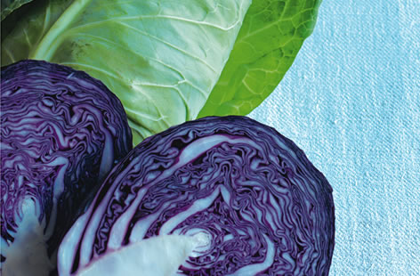 cabbage varieties